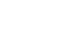 Shopify 2